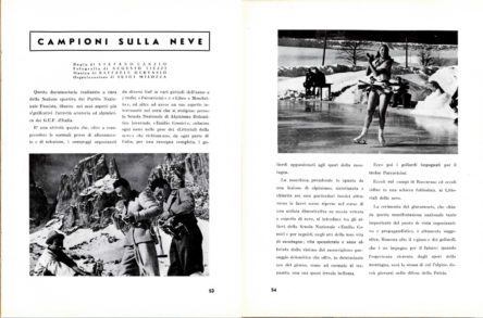 Campioni sulla neve