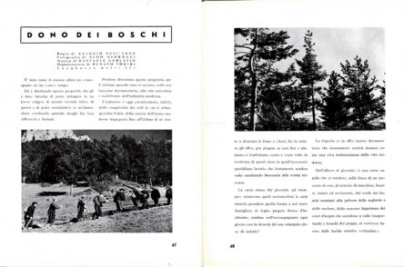 dono dei boschi
